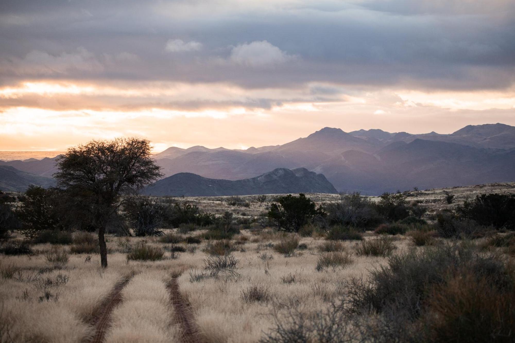 Sandfontein Lodge & Nature Reserve Экстерьер фото