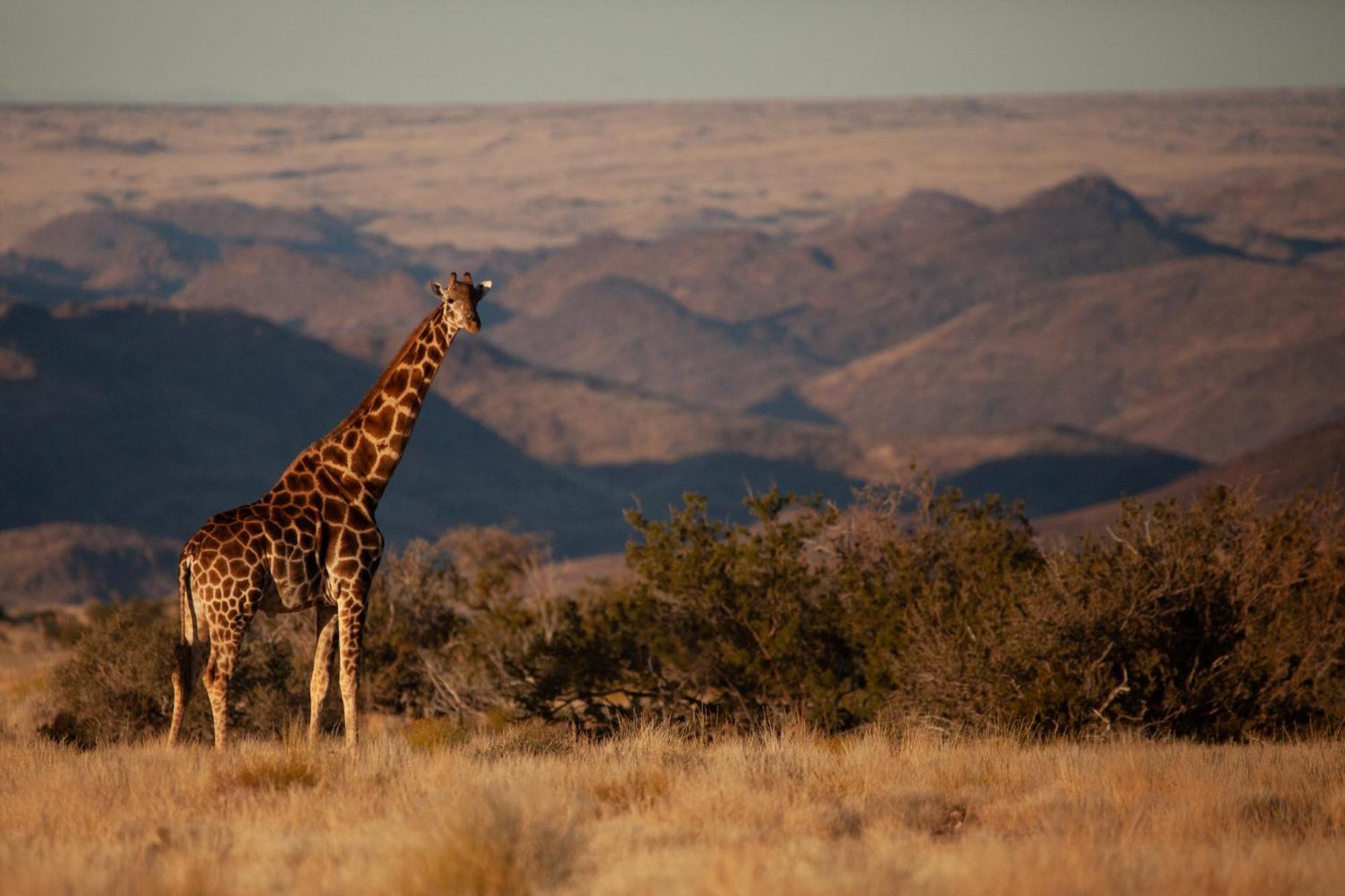 Sandfontein Lodge & Nature Reserve Экстерьер фото