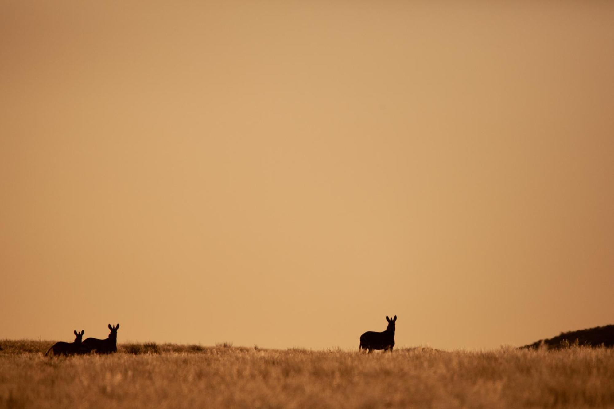 Sandfontein Lodge & Nature Reserve Экстерьер фото